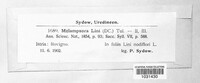Melampsora lini image